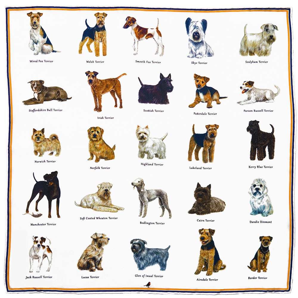 Types of online terriers small