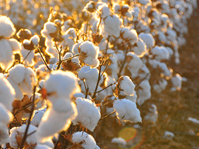 What Does Sustainable Clothing Actually Mean?