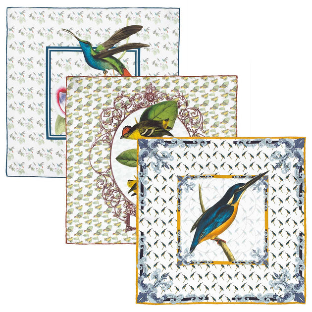 The William Swainson Collection – Rampley and Co