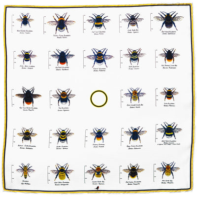 Country Life Bees Pocket Square
