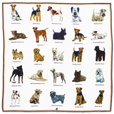Country Life Terriers Pocket Square