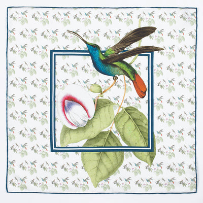 Hummingbird Swainson Pocket Square