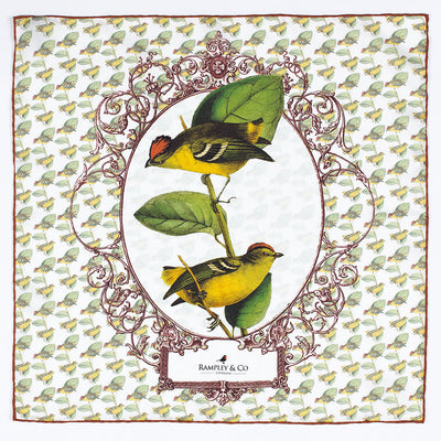 Kinglet Calptura Swainson Pocket Square