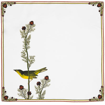 Selby's Flycatcher Bird Audubon Pocket Square