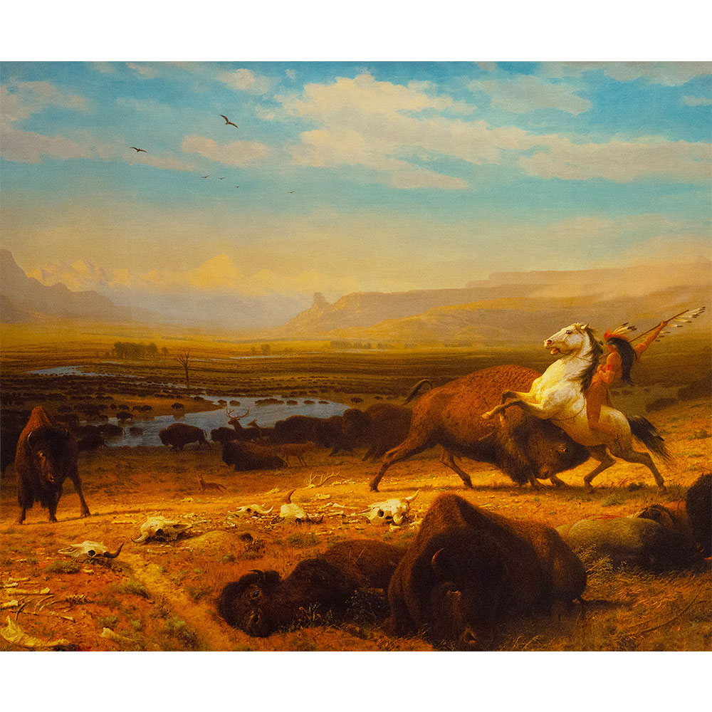 The Last of the Buffalo Silk Jacket Lining – Rampley and Co